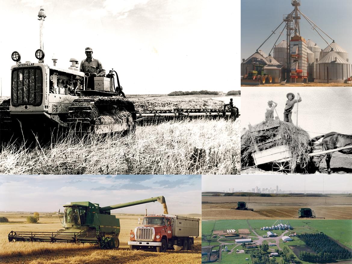 Collage: Ollerenshaw Ranch and farming