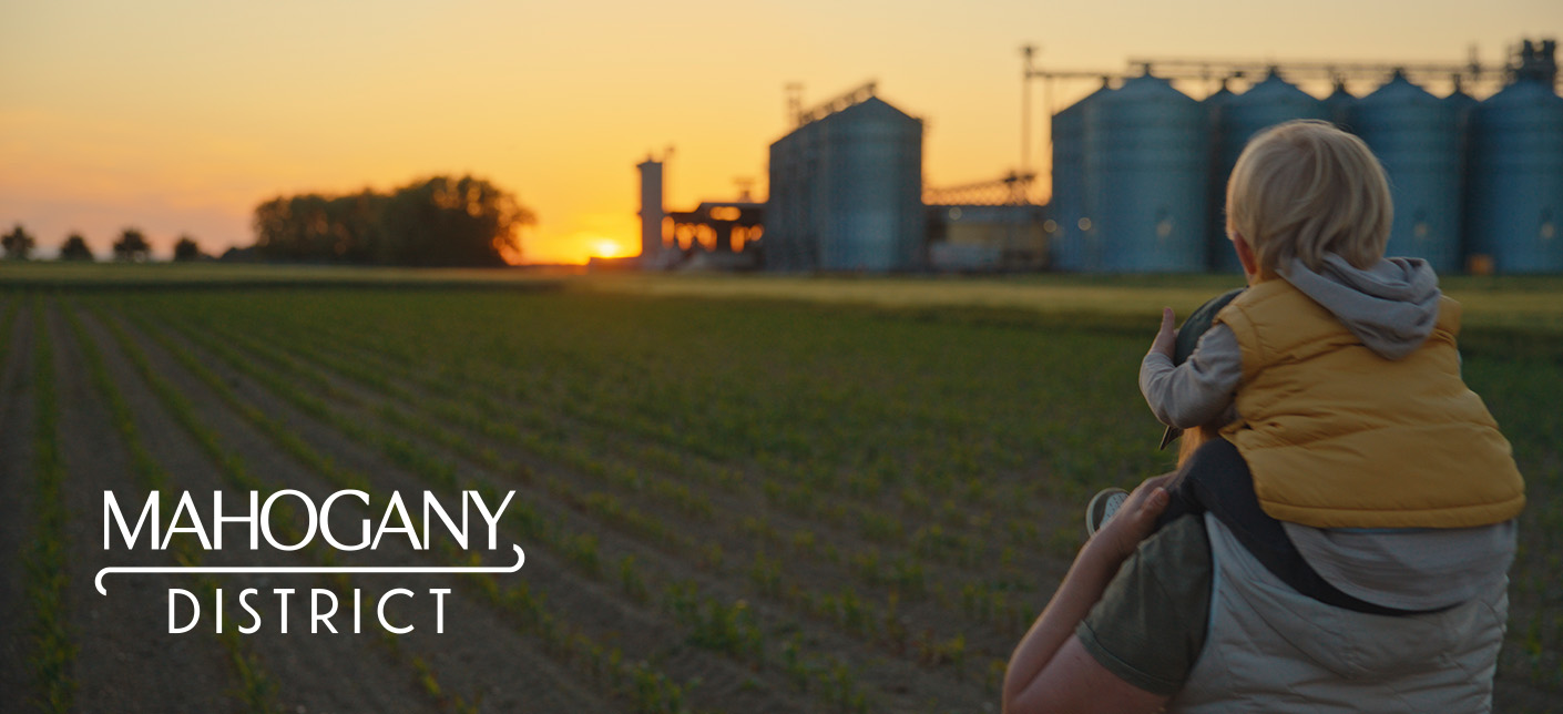 Child sitting on fathers shoulder walking through a field admiring sunset